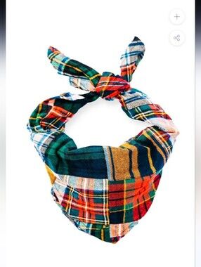 Kiel James Patrick Multi-Color Plaid Bandana Worm One Time For 20 Min
